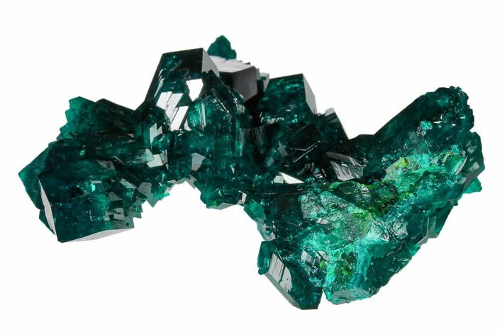 Gemmy Dioptase Crystal Cluster - Kimbedi, Congo #168640